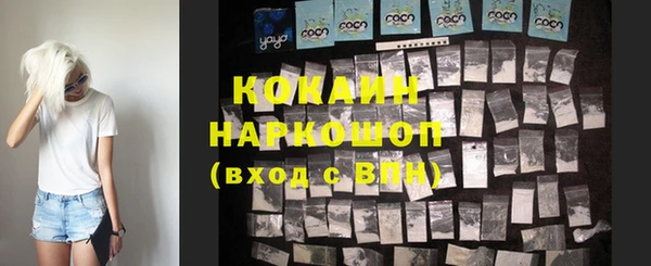 индика Елизово