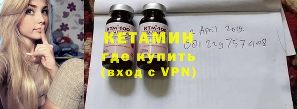 шишки Тавда