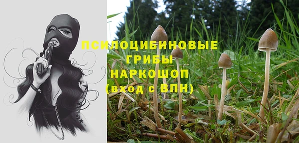 винт Заводоуковск
