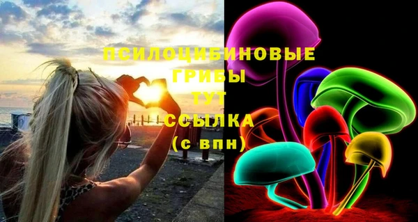 соль ск Заволжье