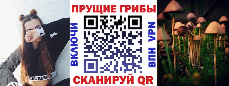 Псилоцибиновые грибы GOLDEN TEACHER  цены   Назрань 